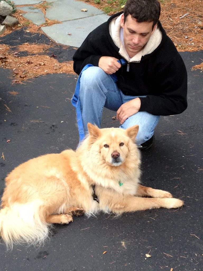 Charlie, a fluffy golden dog, lying beside Bob