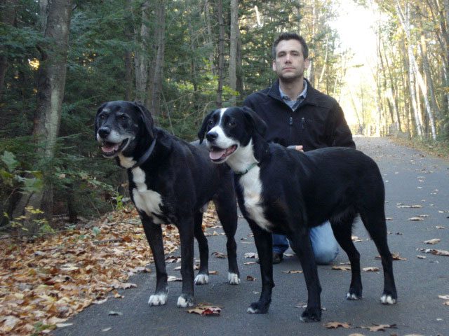 Bob with two dogs on a wooded trail in autumn